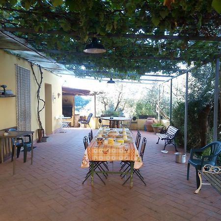 Agriturismo Il Cavallone Villa Montelupo Fiorentino Ngoại thất bức ảnh