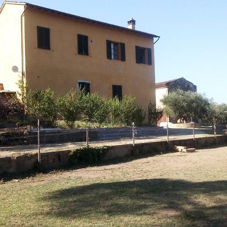 Agriturismo Il Cavallone Villa Montelupo Fiorentino Ngoại thất bức ảnh