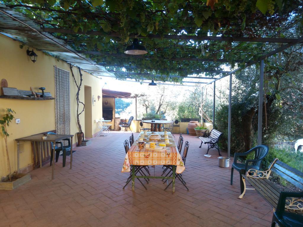 Agriturismo Il Cavallone Villa Montelupo Fiorentino Ngoại thất bức ảnh